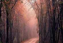 雷火电竞中国-湖人意甲爆冷负东契奇领衔劲旅！积分震荡暗藏体坛新变局