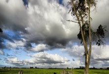 雷火电竞官网-神锋破阵！C罗以一敌众上演中超封神之战