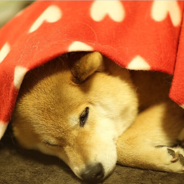 足球世界的地壳运动,当传统堡垒遭遇新大陆的冲击