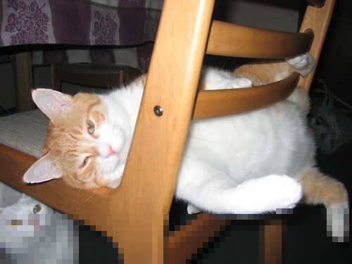 雷火电竞-掀翻巨人的节奏大师，文班亚马与山西队的完美交响