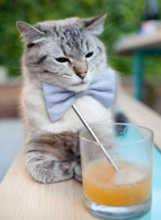 雷火电竞官网-草原狼嚎遇白山虎啸，当福克斯的节奏切开五千年的防守经纬