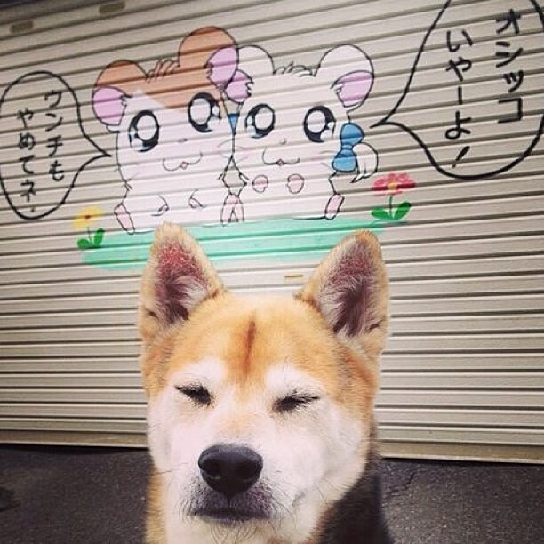 雷火电竞入驻-冰与火的焦点之战，绝境时刻的北欧风暴与亚平宁防线