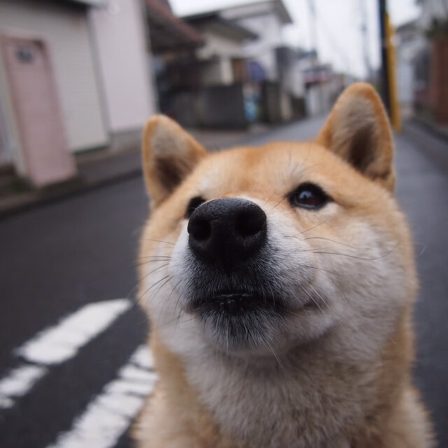 硬仗的两种面孔,黄喜灿的封王之路与伊拉克的逆袭哲学
