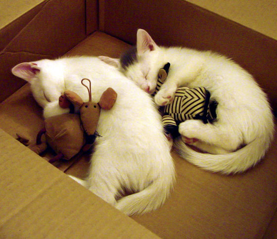 无形之手,国家德比之夜,那个被镜头忽略的统治者