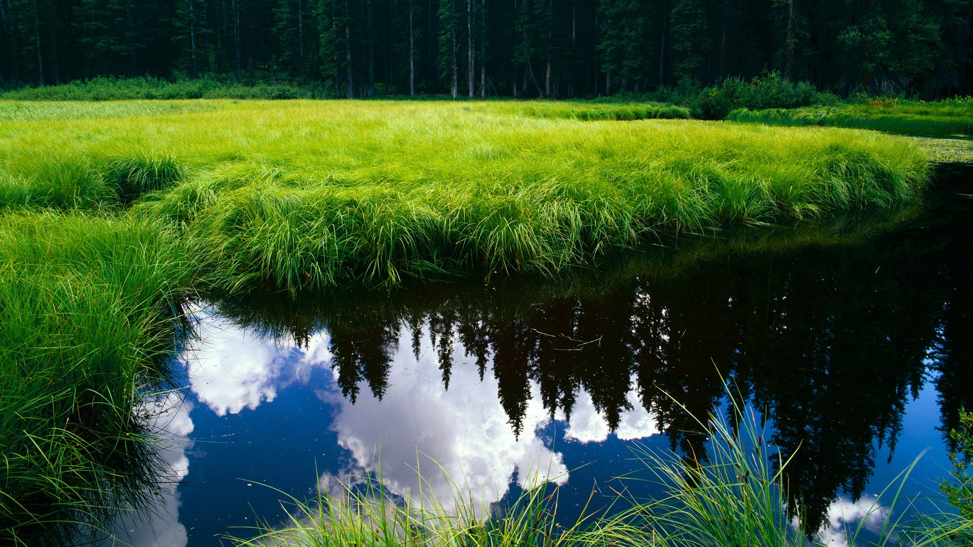 引擎轰鸣中的绿茵指挥官，当京多安在F1争冠之夜掌控全场