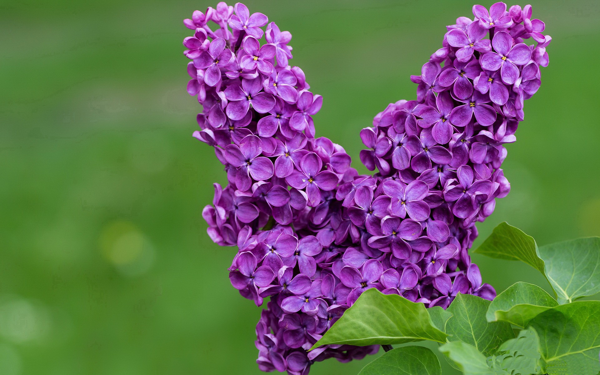 金色轰炸机撞上钢铁防线，阿坎吉只手擎天，哥伦比亚风暴速胜勒沃库森！