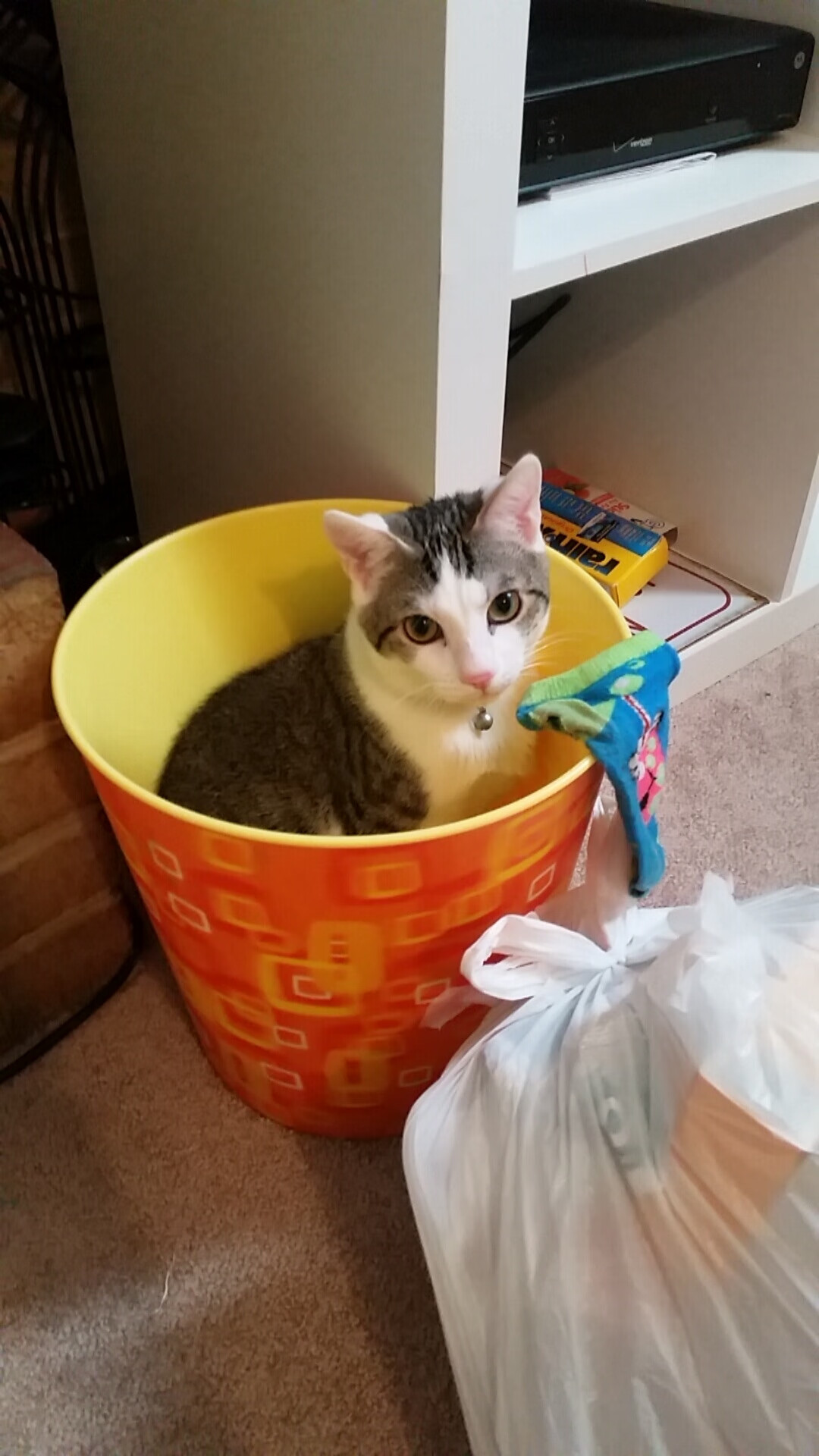 法棍与手术刀，森林狼用最复古方式宣告新生，切特证明自己才是步行者最畏惧的刀锋