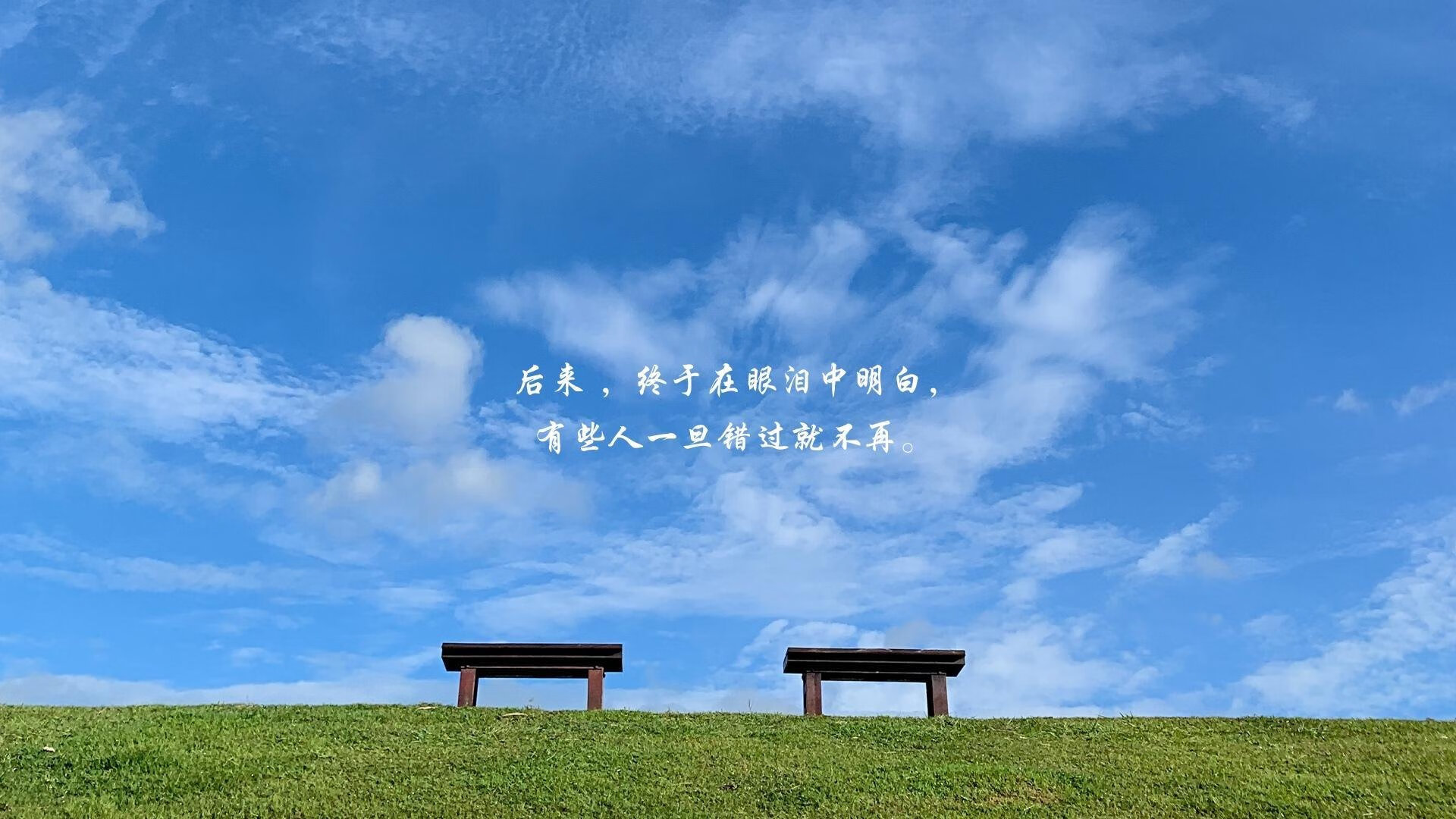2026世界杯C组惊雷,沙特风暴横扫哥伦比亚,凯恩孤勇者式进攻闪耀北美